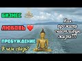 Как прожить счастливую жизнь? Бизнес-Любовь-Пробуждение, в чем связь?