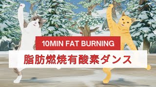 [ENGReady] 10MIN FAT BURNING CARDIO | No Jumping🐾