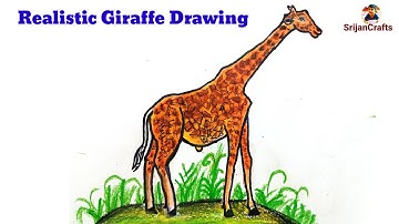 How to draw Giraffe | Simple drawing tutorial | Step by step | Wild animals | Animals drawing
