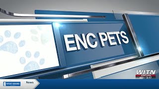 ENC Pets - Jan. 05
