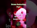 Stress reduction  selfhelp selfimprovement stressrelief stress stressreduction  motivation