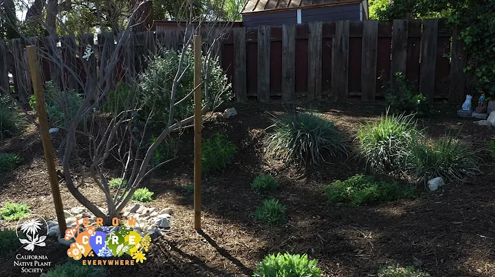 Grow CARE Eveywhere: Jan Zimmerman's garden