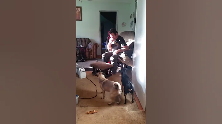 Bubba apologizing to dad.