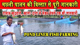 मछली पालन की विस्तार से जानकारी ।। Detail Information Of Fish Farming।। Pond Liner Fish Farming