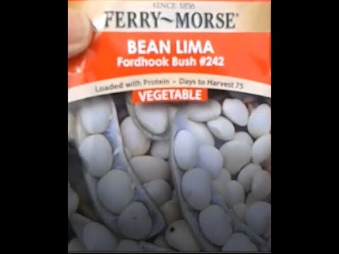 How I plant Lima Beans, Yellow Wax Beans, Celery plus session planting of Alaska Peas