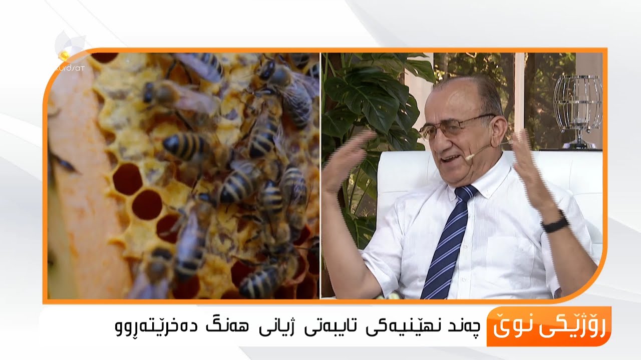 چەند نهێنییەكی تایبەتی ژیانی هەنگ ...ئەحمەد حەمە ئەمین