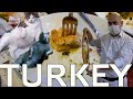 Turkey Travel: Famous Cats | Famous Baklava | Fabulous Pizza