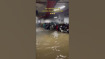 Cận cảnh hầm gửi xe của một chung cư tại Hà Nội 😢 #chungcu #chungcuhanoi #mualu #ngaplut