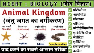 Animal Kingdom | जन्तु जगत का वर्गीकरण | Biology | Study vines official
