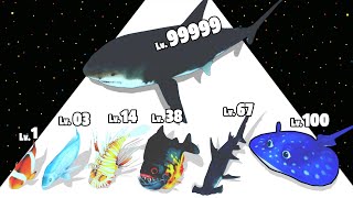 Fish Rush - Level Up Shark Max Level Gameplay New Update (Fish Evolution Run)