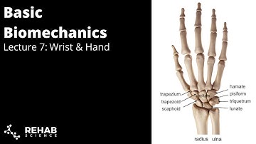 Biomechanics Lecture 7: Wrist & Hand