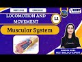 Sankalp: Locomotion and Movement L-1 | NEET Toppers | Garima G.