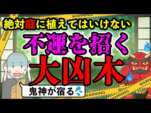 斑葉針葉樹を庭に取り入れる方法：私が実践している失敗しない品種選びと育て方のコツ