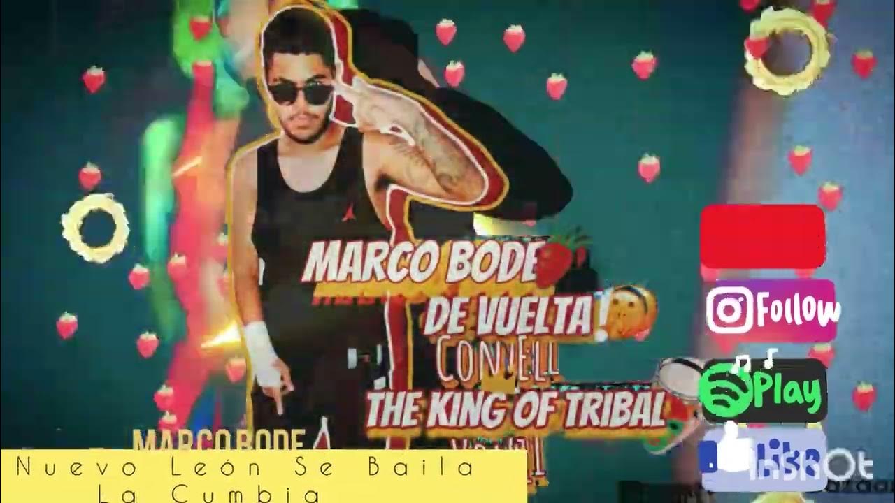 En Nuevo Leon Se Baila La Cumbia En Nuevo León Se Baila La Cumbia ( Marco Bode Tribal Sax ) PAL Gogeo 🤫
