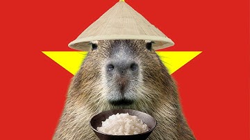 Vietnamese Capybara