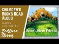 Bear's New Friend Quiz