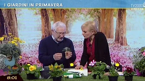 Che significato ha il fiore di pesco?