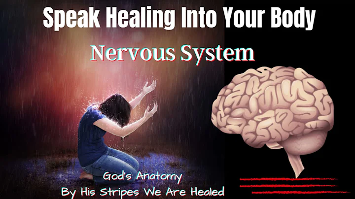 How To Speak Healing Upon Your Body | Nervous System | God’s Anatomy