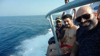 Red Sea Diving Trip Kızıl Deniz , Scuba Diving Deep Sea, Snorkeling In The Red Sea, Reef Garden