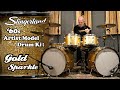 Thunderous 60s slingerland drum kit  gold sparkle