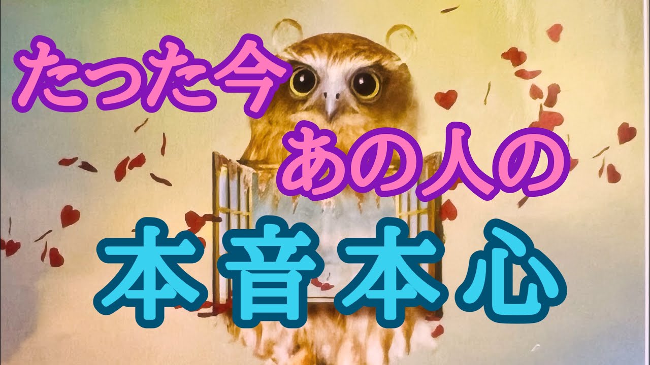 たった今あの人の本音本心💕複雑恋愛　停滞　疎遠