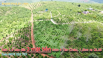 Đất Tân Châu, Bán lô đất 2,9 sào với 3 mặt tiền đường bê tông, 1.2km ra QL28, Đất Di Linh, Lâm Đồng