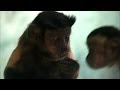 Capuchin monkey fights for equal rights - Inside the Animal Mind: Episode 3 - BBC Two