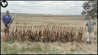 How Australian Farmers Deal With Millions Of Foxes, Baboons And Millions Of Other Invasive Species screenshot 4