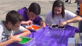 Jello Eating Contest   Woodhaven Relay For Life 2013