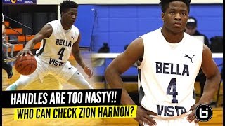 SHIFTIEST Guard In America!? Zion Harmon CAN'T BE GUARDED 1 on 1!!