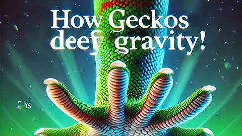 The Science Behind Gecko Adhesion – Nature