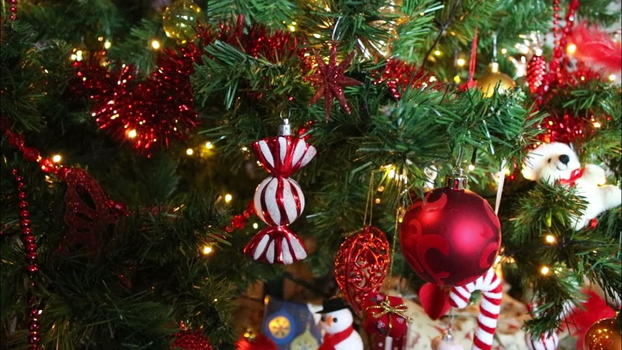 1 minuut natuur kerstboom YouTube