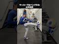 W杯に影響されたドジャースの選手たち #野球 #メジャー #ドジャース #ワールドカップ