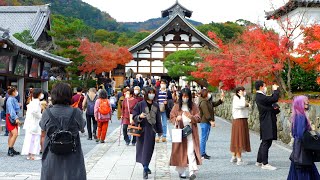 The Golden Pavilion/Kinkakuji Temple,Kyoto |Japan Travel - JV GO