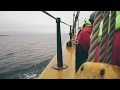 Whale Watching | Sailing in Icelandic Waters