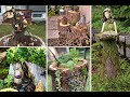 50+ Inspiring Tree Stump Garden ideas  for garden outdoor