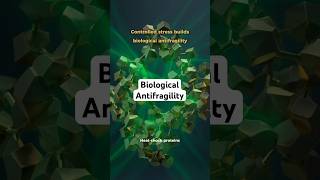 Heat-Shock Proteins: The Cellular Training That Builds Antifragile Decision-Making  #sleepsolution