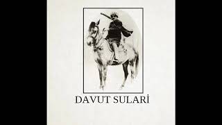 Davut Sulari - Dost Bağına Girdim Resimi