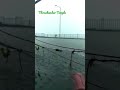 திருச்செந்தூர் முருகன் கோயிலில் வெள்ளப்பெருக்கு 🌧️🌧️🌧️