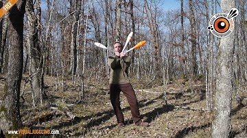 Club Manipulation - Damien Boisbouvier - Visual Juggling 1.0