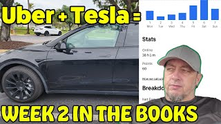 Tesla Uber Driver Week 2: Making Cash (Or Crying?) | Uber Driver Lyft Driver by Vinny Kuzz 3,380 views 3 months ago 20 minutes