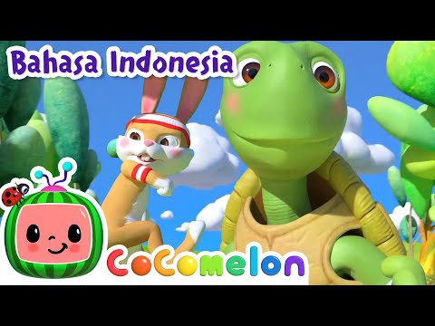 Kura-kura dan Kelinci | CoComelon Bahasa Indonesia - Lagu Anak Anak | Nursery Rhymes