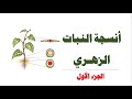 أنسجـة النبات الزهري ج 1 العلوم والحياة الصف التاسع الأساسي المنهاج الفلسطيني