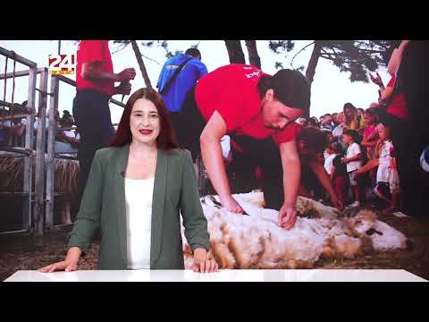 Gledajte '240 sekundi' 24sata: Cirkus u Sukošanu zbog izbora direktora komunalne tvrtke