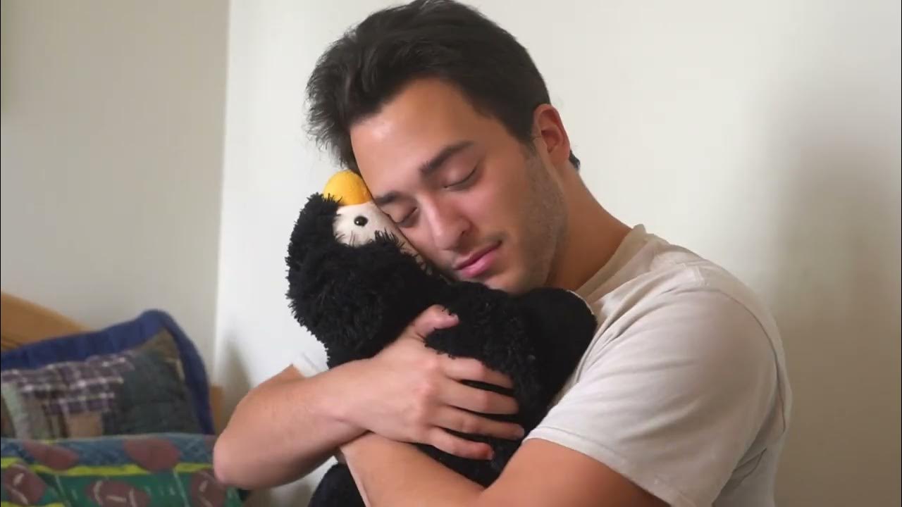 Pillow Pets Commercial YouTube