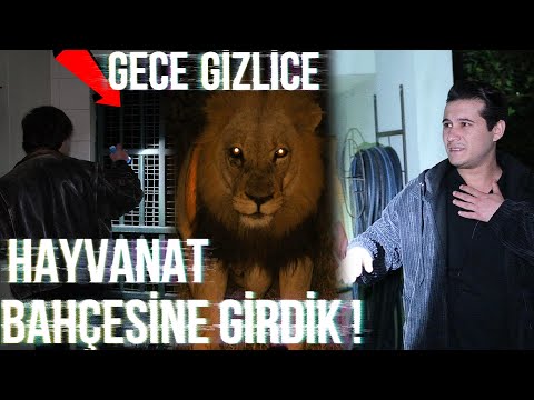 GECE GİZLİCE HAYVANAT BAHÇESİNDE KALMAK !