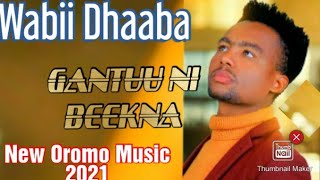 Wabii Dhaaba _ GANTUU NI BEEKNA_ New Ethiopian Oromo Music ( Vedio) 2021