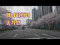 송가인 개나리처녀 #송가인