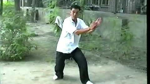 LIU JINGRU BAGUA FEI JIUGONG 3, 4