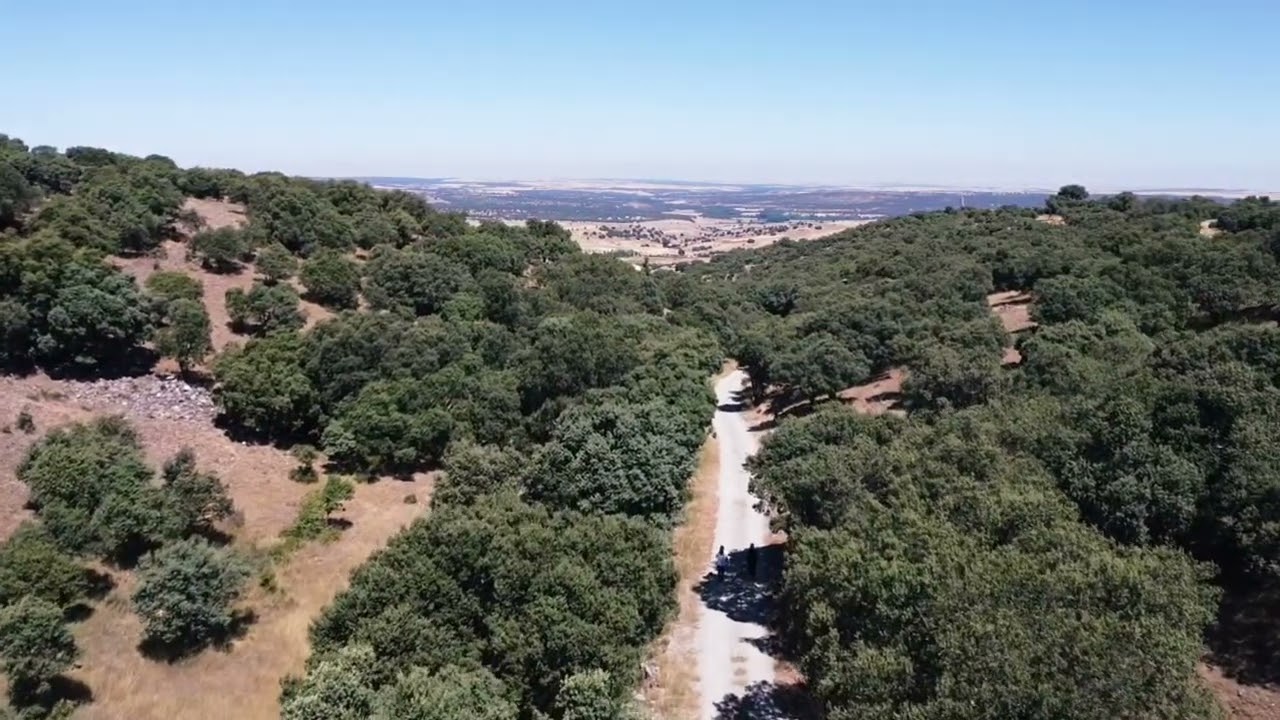 VEGAS DE MATUTE 🇪🇸 